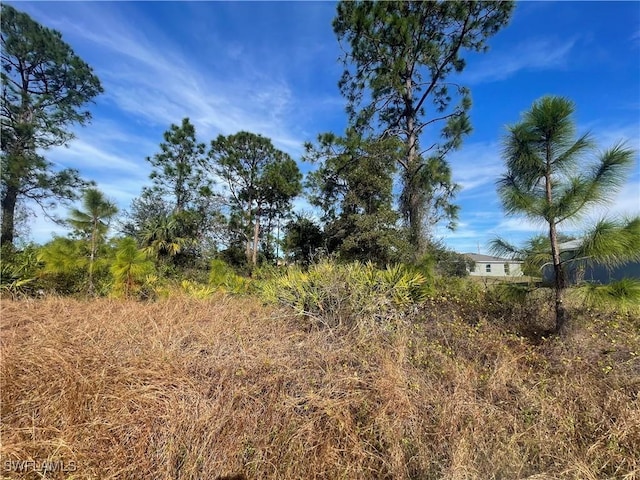 869 Grant Blvd, Lehigh Acres, FL 33974 - photo 2