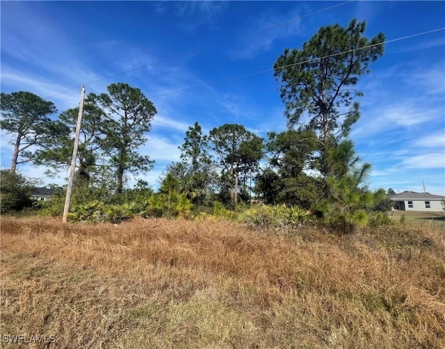 869 Grant Blvd, Lehigh Acres, FL 33974 - photo 5