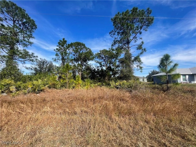 869 Grant Blvd, Lehigh Acres, FL 33974 - photo 4