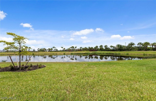 6149 Liberty St, Ave Maria, FL 34142 - photo 33