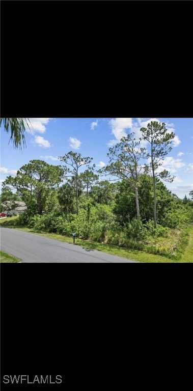 1701 Tharp Rd SE, Palm Bay, FL 32909 - photo 9