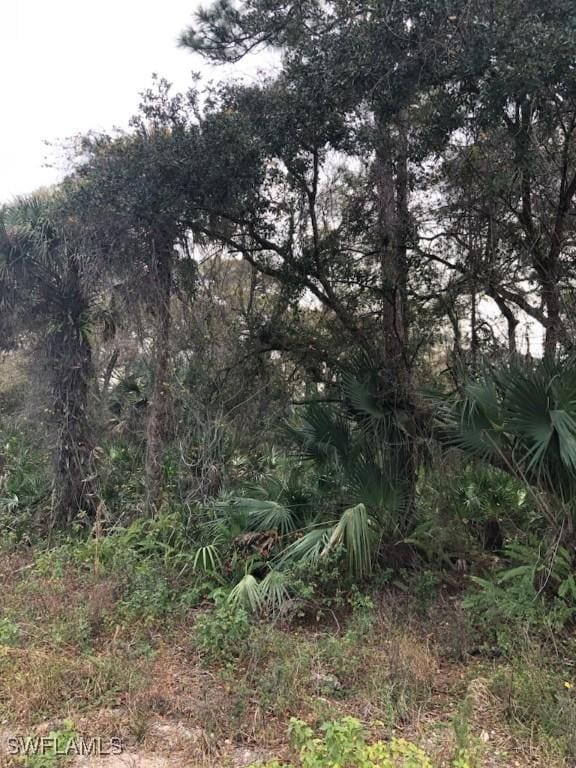 1201 Austin St, Labelle, FL 33935 - photo 2