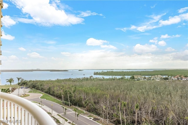 6081 Silver King Blvd Unit 501, Cape Coral, FL 33914 - photo 25