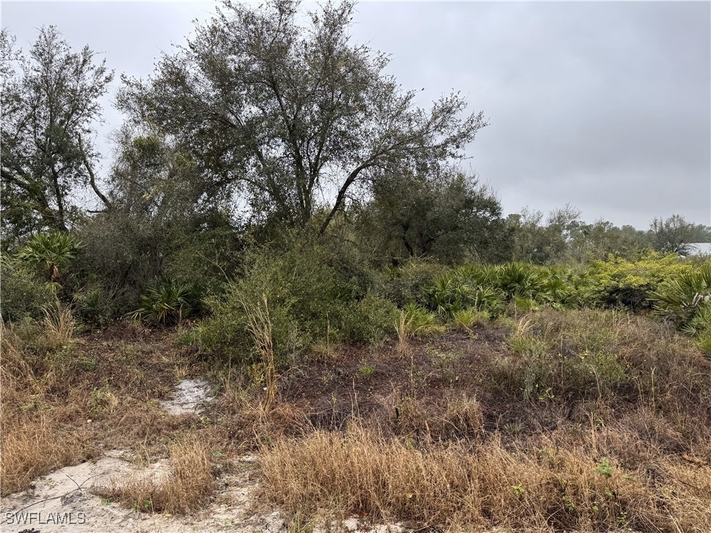 7537 20th Ter, Labelle, FL 33935 - photo 2