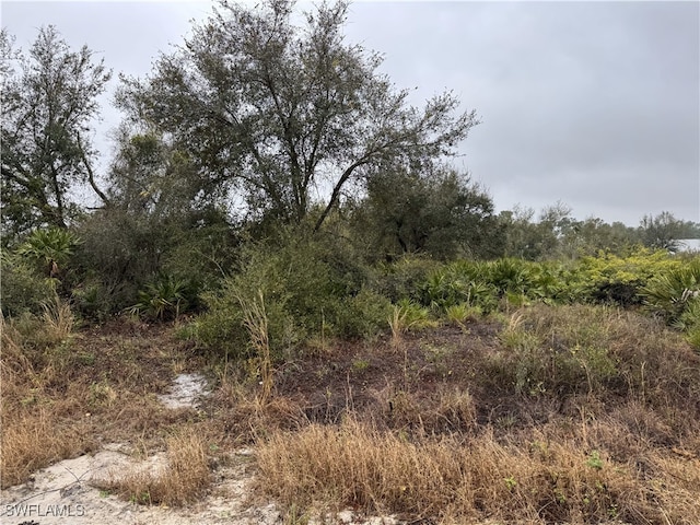 7537 20th Ter, Labelle, FL 33935 - photo 2