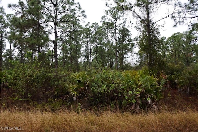 811 State Ave, Lehigh Acres, FL 33972 - photo 3