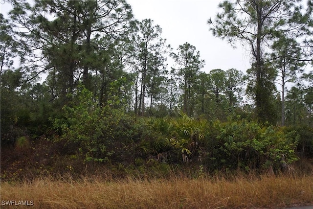 811 State Ave, Lehigh Acres, FL 33972 - photo 4
