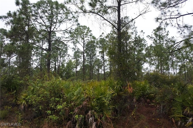 811 State Ave, Lehigh Acres, FL 33972 - photo 1