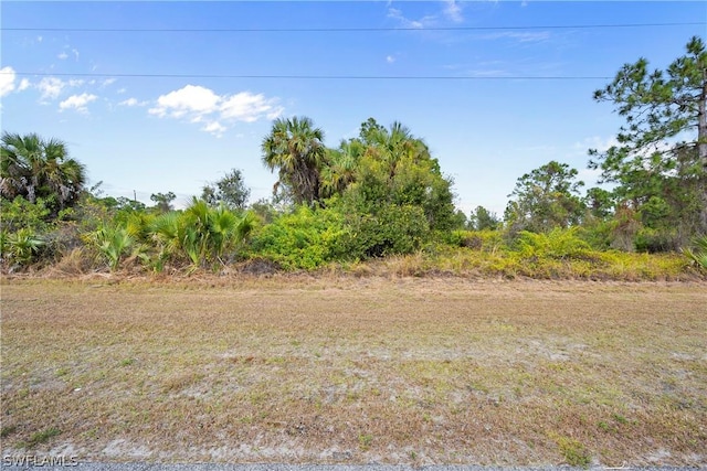 1063 Sunrise Blvd, Lehigh Acres, FL 33974 - photo 11