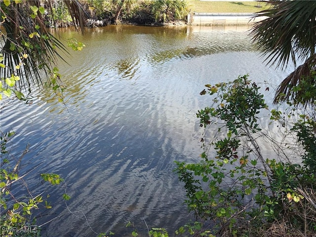 2429 NW 41st Ave, Cape Coral, FL 33993 - photo 3
