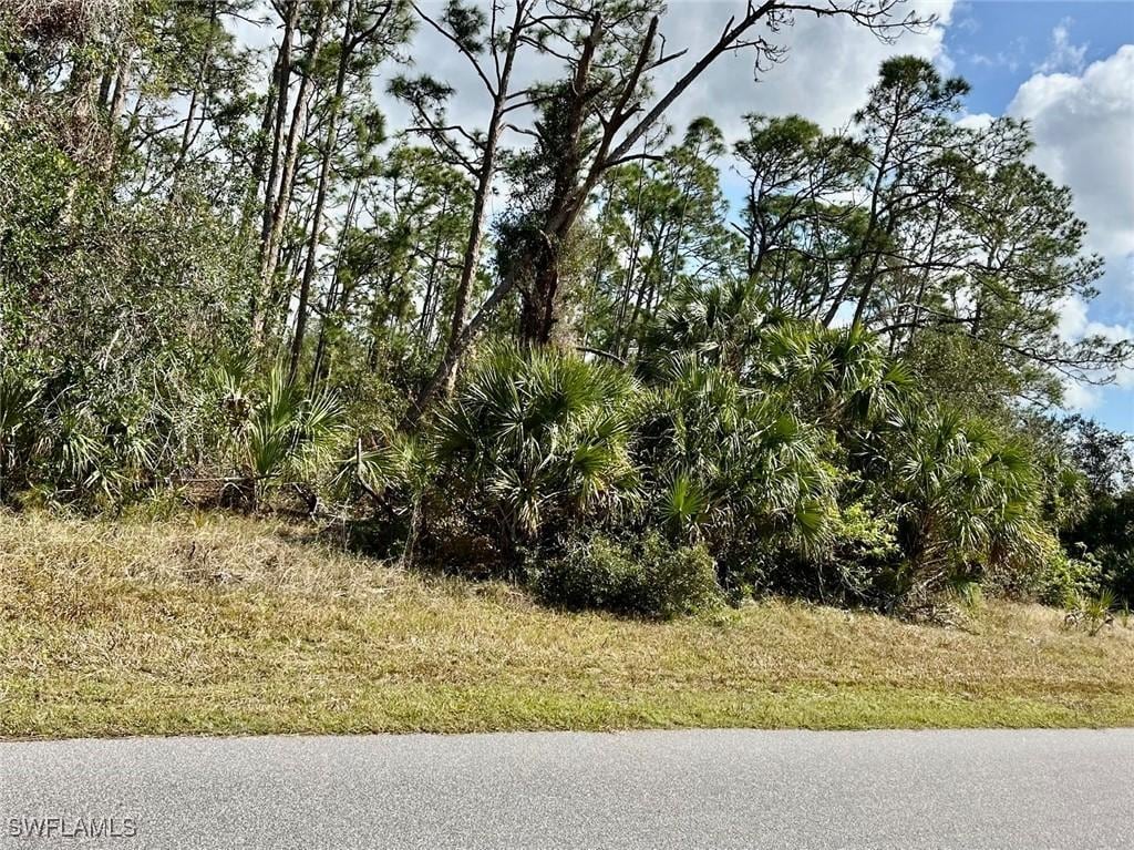 1234 Lotus St, Port Charlotte, FL 33953 - photo 1