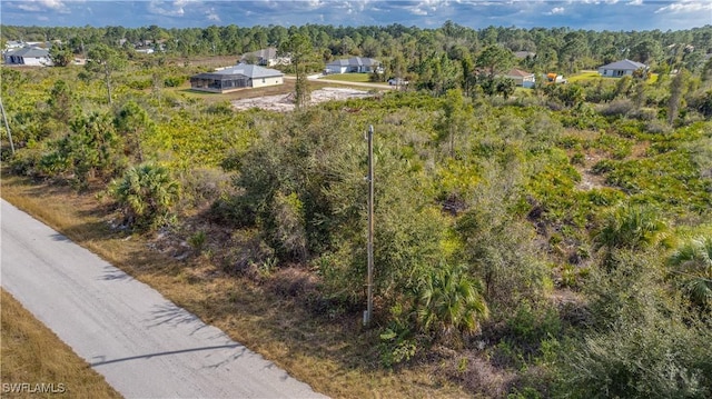 3113 54th St W, Lehigh Acres, FL 33971 - photo 2