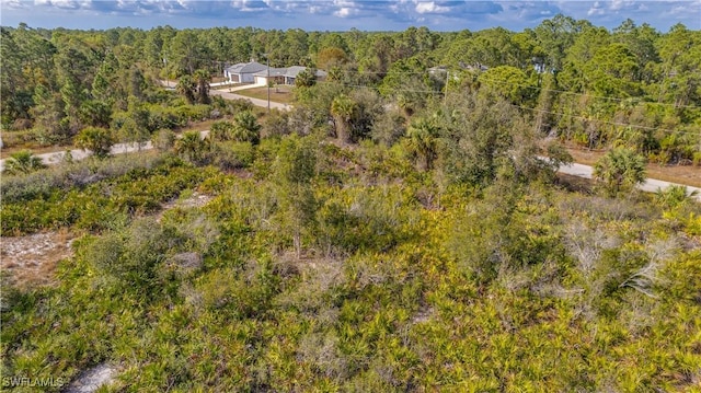 3113 54th St W, Lehigh Acres, FL 33971 - photo 3