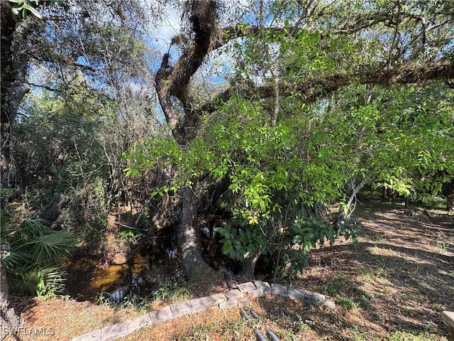 LOT2273057 Belle Of Myers Rd, Labelle, FL 33935 - photo 21