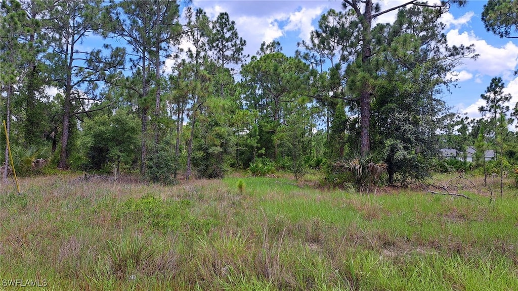 1842 Marlboro Ln, Lehigh Acres, FL 33972 - photo 1