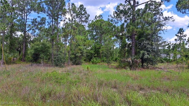 1842 Marlboro Ln, Lehigh Acres, FL 33972 - photo 1