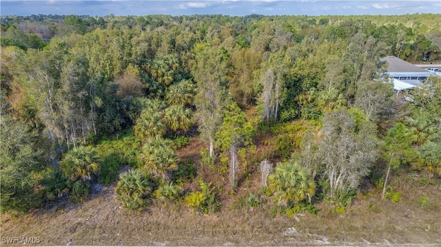 3514 58th St W, Lehigh Acres, FL 33971 - photo 2