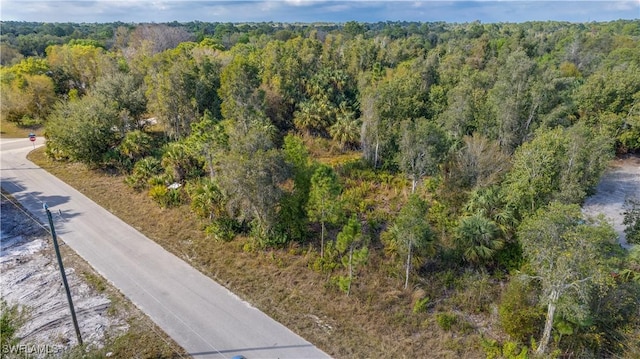 3514 58th St W, Lehigh Acres, FL 33971 - photo 3