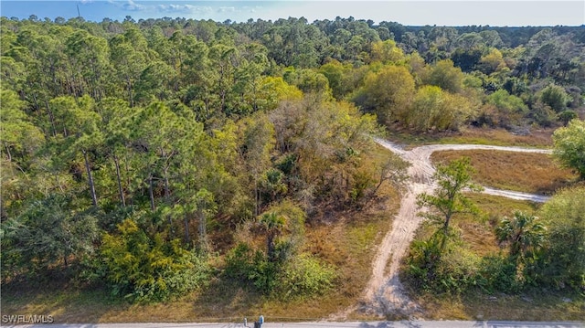 3507 51st St W, Lehigh Acres, FL 33971 - photo 2