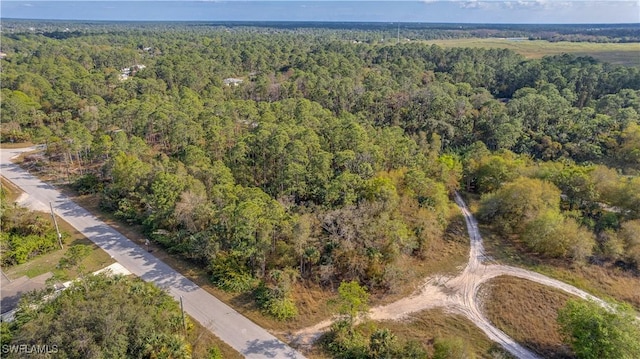 3507 51st St W, Lehigh Acres, FL 33971 - photo 3