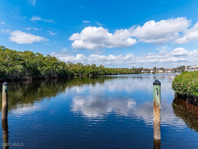 206 Newport Dr Unit 805, Naples, FL 34114 - photo 16
