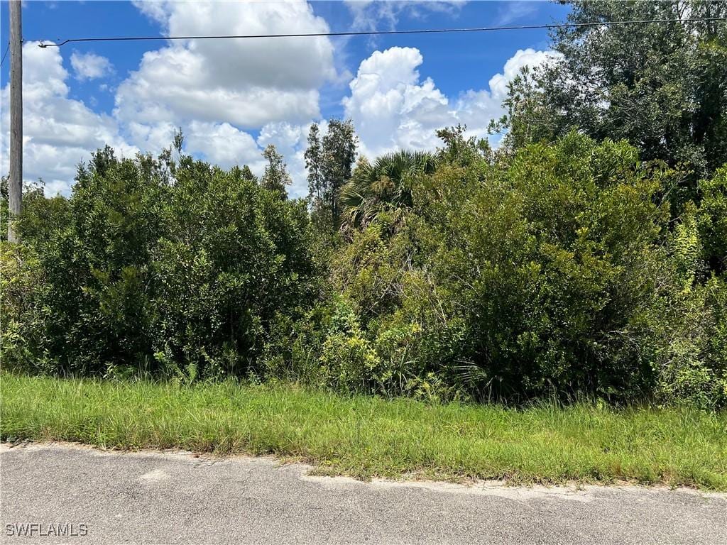 2612 36th St SW, Lehigh Acres, FL 33976 - photo 2