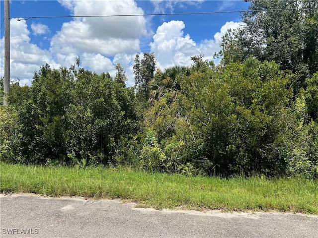 2612 36th St SW, Lehigh Acres, FL 33976 - photo 2