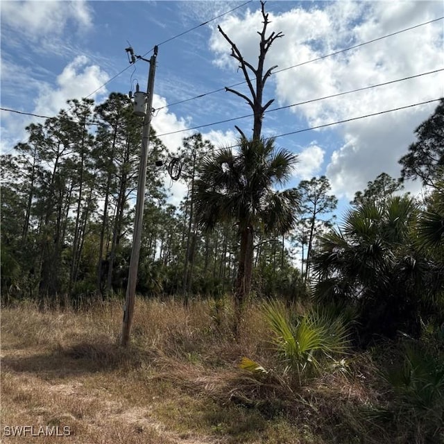 1242 Creary St E, Lehigh Acres, FL 33974 - photo 2