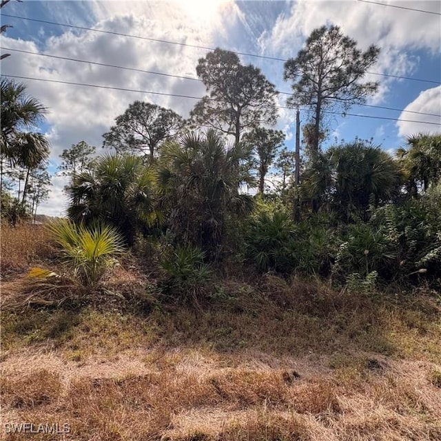 1242 Creary St E, Lehigh Acres, FL 33974 - photo 5
