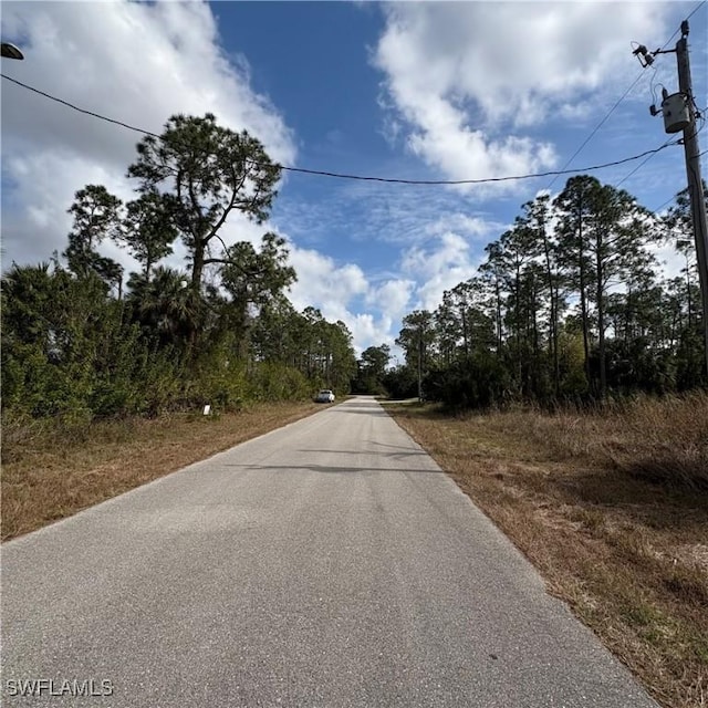 1242 Creary St E, Lehigh Acres, FL 33974 - photo 6