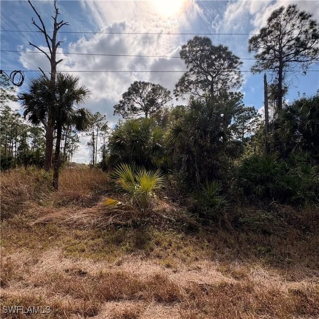 1242 Creary St E, Lehigh Acres, FL 33974 - photo 4