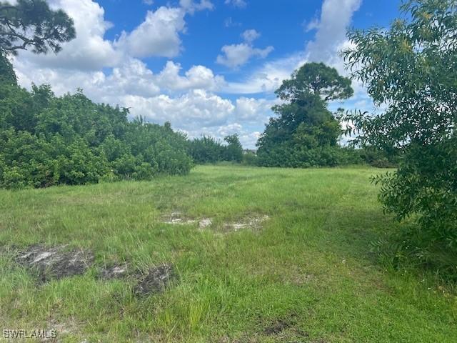 1317 NW 3rd Pl, Cape Coral, FL 33993 - photo 2