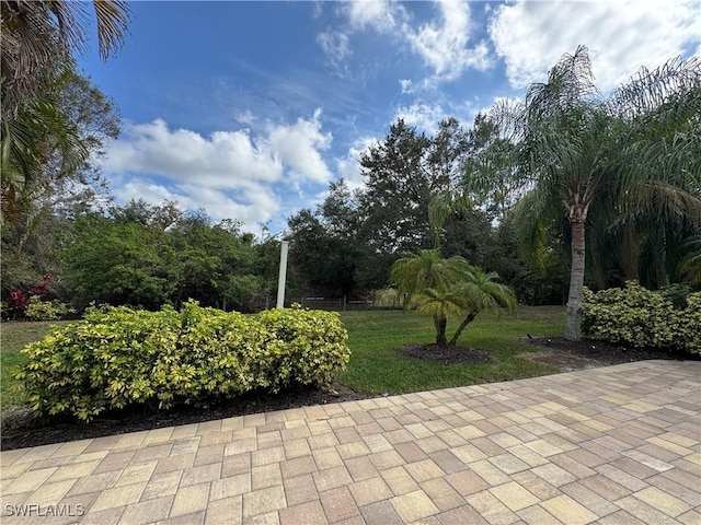 LOT2213045 Belle Of Myers Rd, Labelle, FL 33935 - photo 18