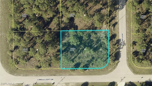 876/878 Holmes Ave, Lehigh Acres, FL 33974 - photo 1