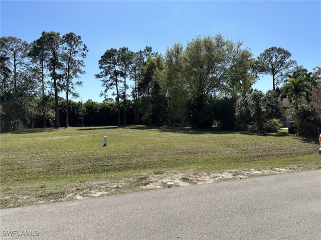 734 Pine Cone Ln, Naples, FL 34104 - photo 3
