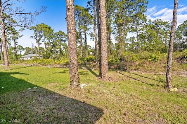 221 Corvet Ave, Lehigh Acres, FL 33974 - photo 4