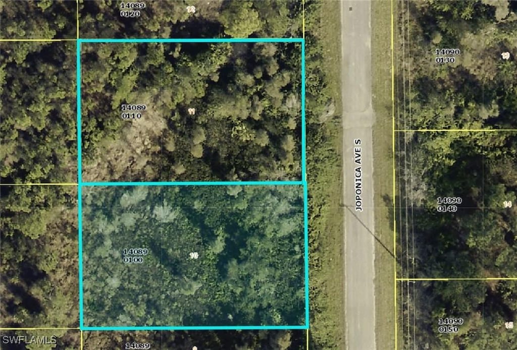 842 Joponica Ave S, Lehigh Acres, FL 33974 - photo 1