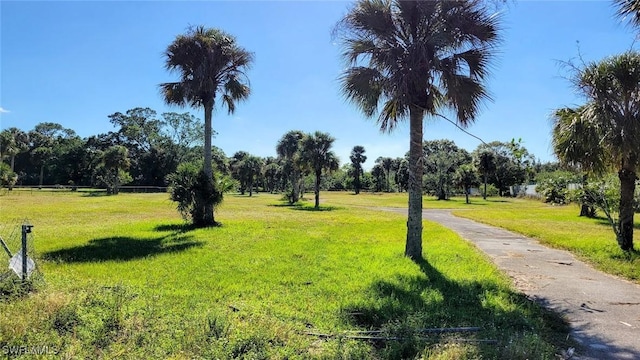 6093 W State Road 80, Fort Denaud, FL 33935 - photo 4