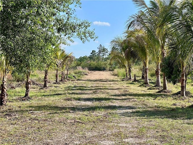 3240 60th Ave NE, Naples, FL 34120 - photo 8