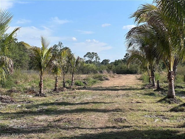 3240 60th Ave NE, Naples, FL 34120 - photo 9