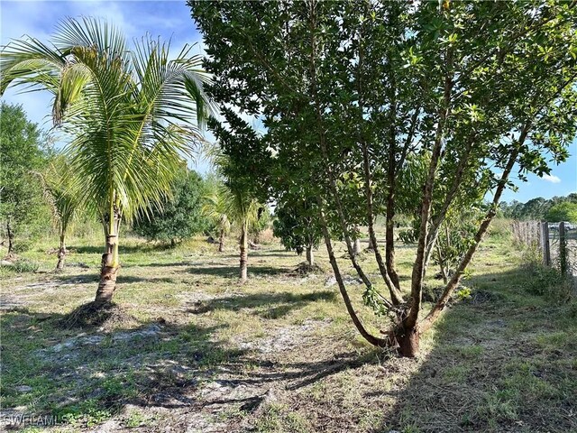 3240 60th Ave NE, Naples, FL 34120 - photo 10