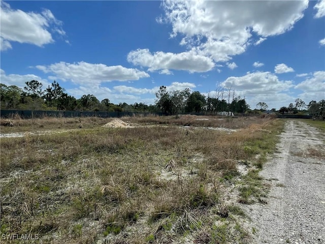 3240 60th Ave NE, Naples, FL 34120 - photo 4