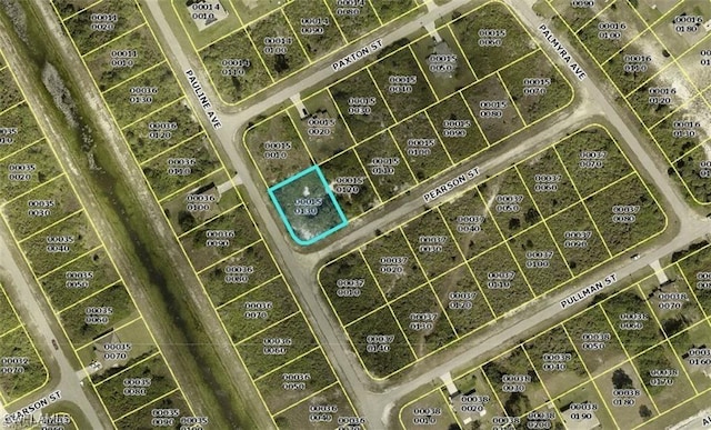 209 Pearson St, Lehigh Acres, FL 33974 - photo 1
