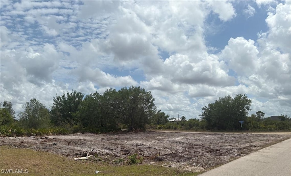 209 Pearson St, Lehigh Acres, FL 33974 - photo 3