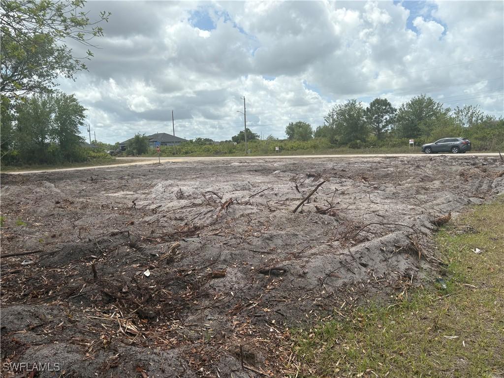 209 Pearson St, Lehigh Acres, FL 33974 - photo 2