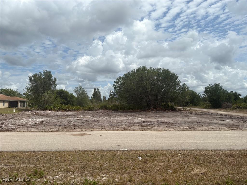 209 Pearson St, Lehigh Acres, FL 33974 - photo 4