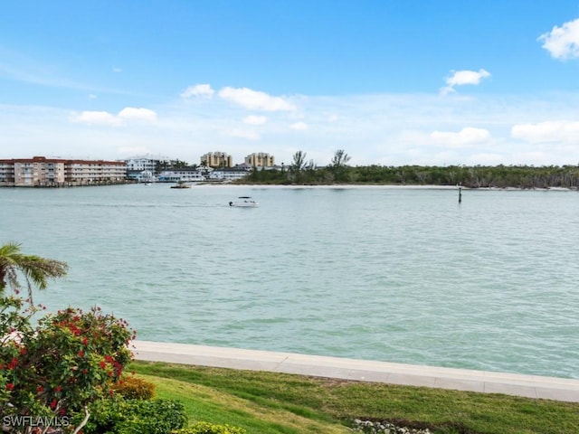 110 La Peninsula Blvd Unit 110, Naples, FL 34113 - photo 13