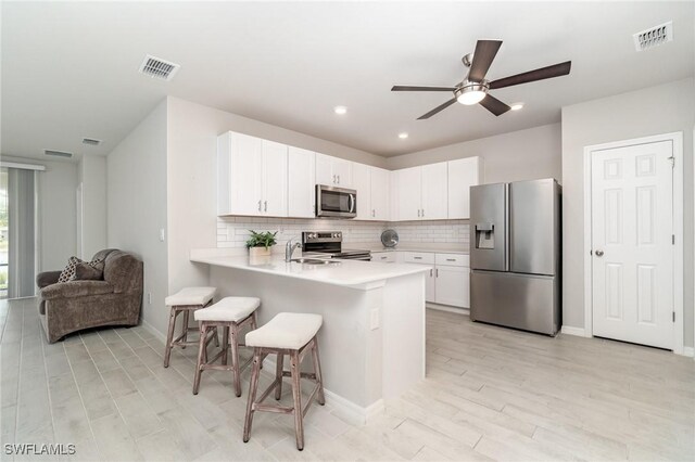 20684 Plumwood Loop, North Fort Myers, FL 33917 - photo 3