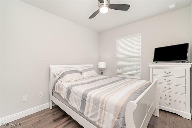 20684 Plumwood Loop, North Fort Myers, FL 33917 - photo 19