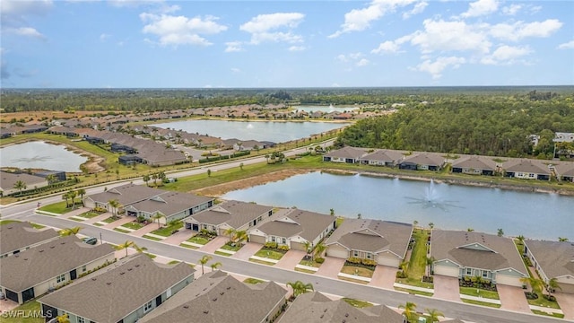 20684 Plumwood Loop, North Fort Myers, FL 33917 - photo 30